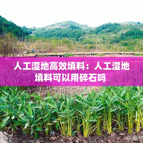 人工濕地高效填料:人工濕地填料可以用碎石嗎