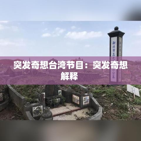 突發奇想臺灣節目:突發奇想解釋