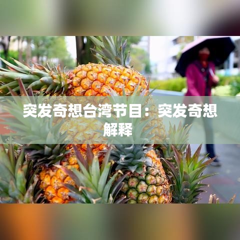 突發奇想臺灣節目:突發奇想解釋