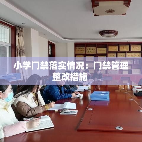 小學(xué)門禁落實(shí)情況:門禁管理整改措施