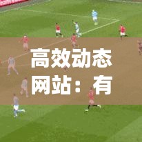 高效動態網站：有什么動態網站 