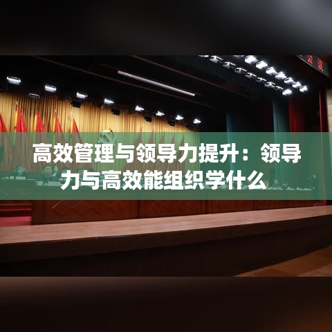 高效管理與領(lǐng)導(dǎo)力提升:領(lǐng)導(dǎo)力與高效能組織學(xué)什么