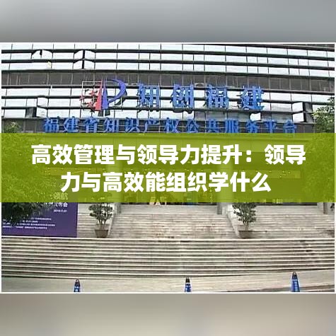 高效管理與領導力提升:領導力與高效能組織學什么