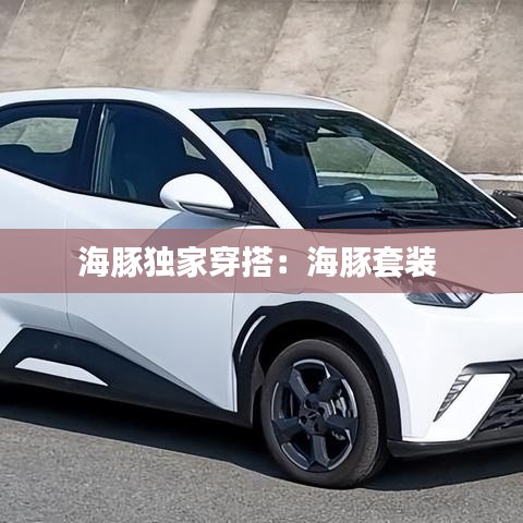 海豚獨家穿搭:海豚套裝