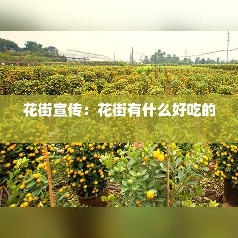 花街宣傳:花街有什么好吃的