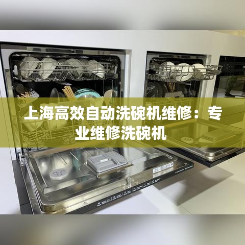 上海高效自動洗碗機維修：專業維修洗碗機 