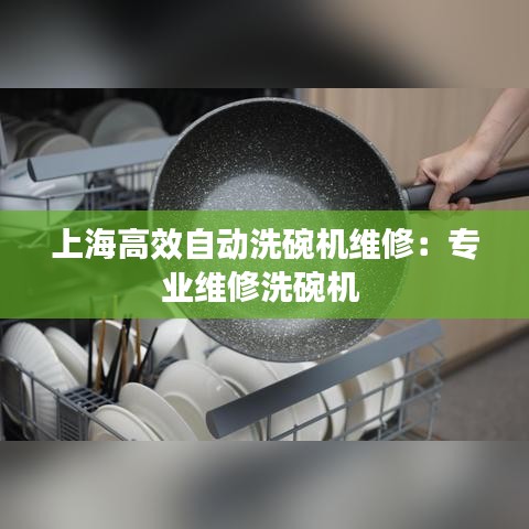 上海高效自動洗碗機維修:專業維修洗碗機