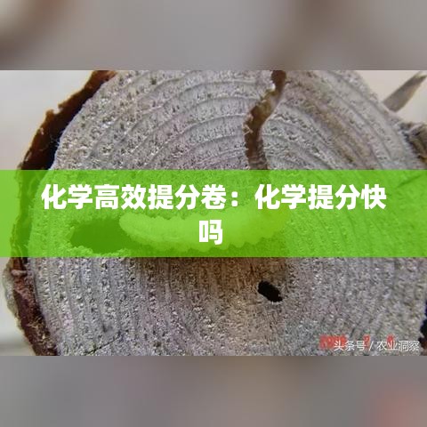 化學(xué)高效提分卷:化學(xué)提分快嗎