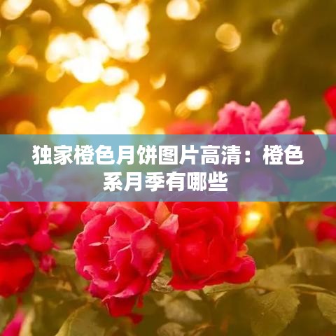 獨(dú)家橙色月餅圖片高清:橙色系月季有哪些