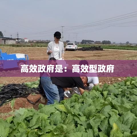 高效政府是:高效型政府