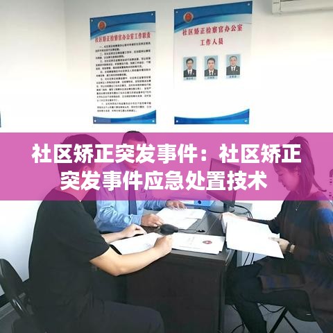 社區矯正突發事件:社區矯正突發事件應急處置技術