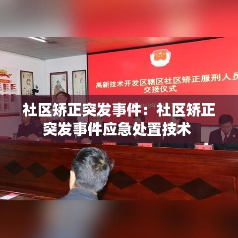 社區矯正突發事件:社區矯正突發事件應急處置技術