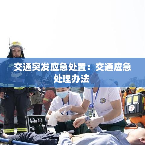 交通突發應急處置:交通應急處理辦法