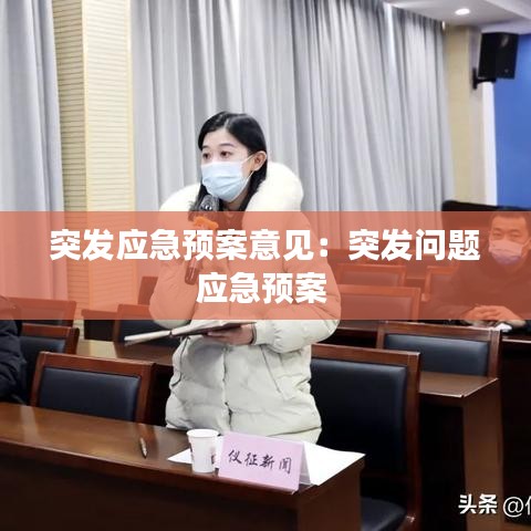 突發應急預案意見：突發問題應急預案 