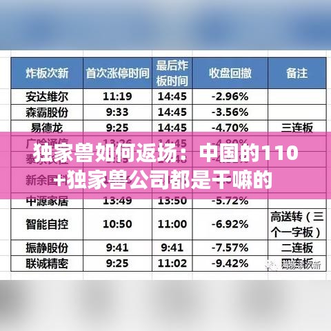 獨家獸如何返場:中國的110+獨家獸公司都是干嘛的