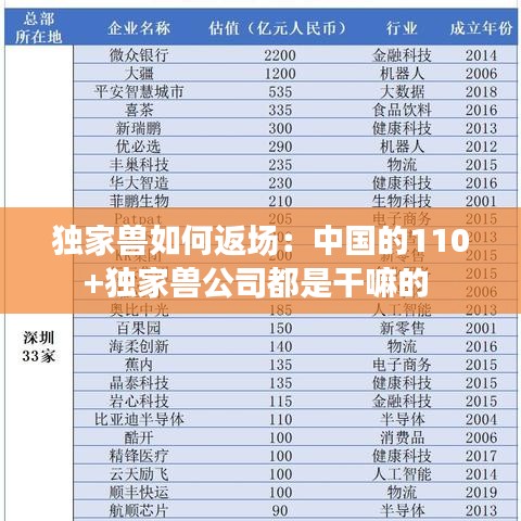 獨家獸如何返場:中國的110+獨家獸公司都是干嘛的