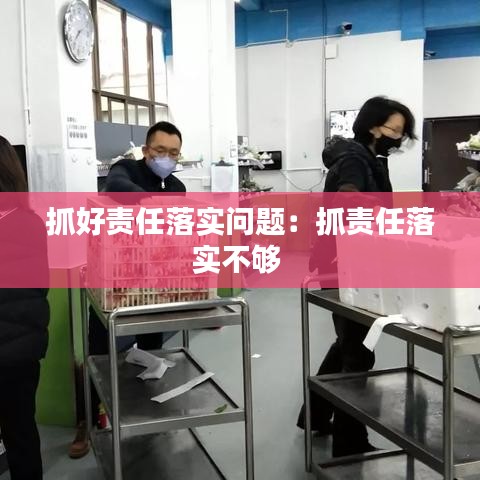 抓好責任落實問題:抓責任落實不夠