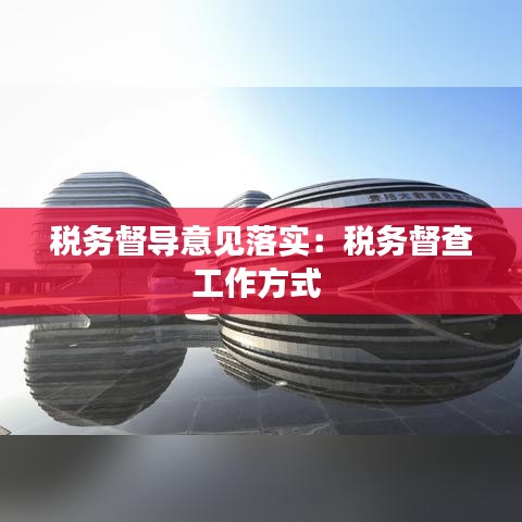 稅務督導意見落實:稅務督查工作方式