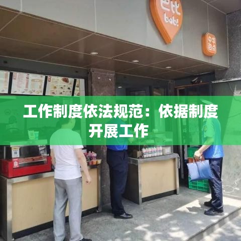 工作制度依法規范:依據制度開展工作