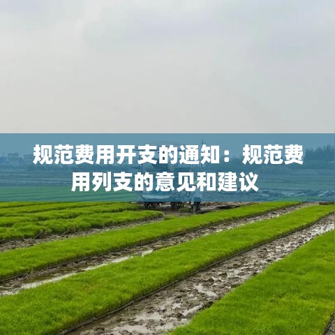 規范費用開支的通知:規范費用列支的意見和建議