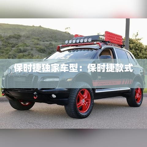 保時捷獨家車型:保時捷款式