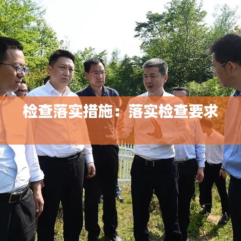 檢查落實措施：落實檢查要求 