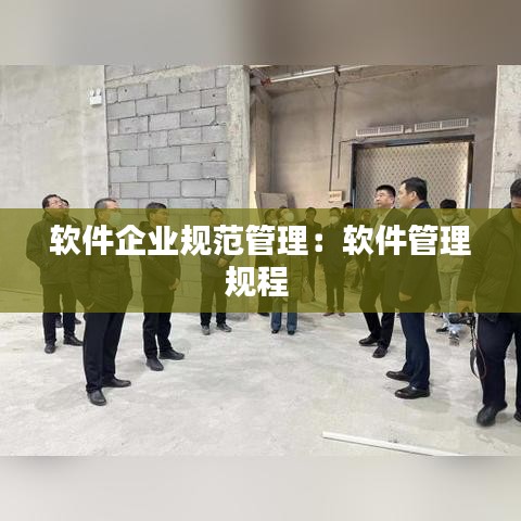 軟件企業規范管理：軟件管理規程 