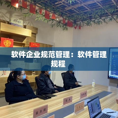 軟件企業規范管理:軟件管理規程