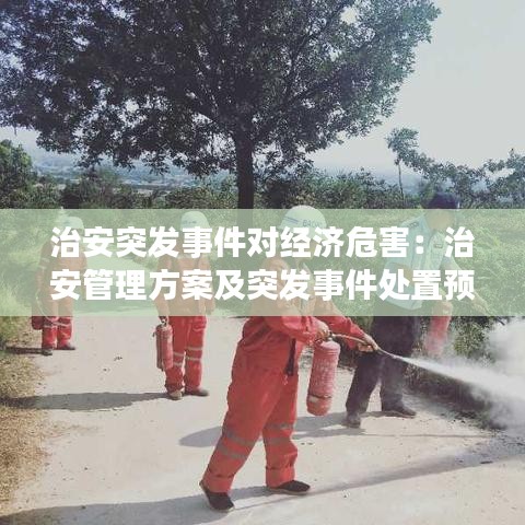 治安突發(fā)事件對(duì)經(jīng)濟(jì)危害:治安管理方案及突發(fā)事件處置預(yù)案