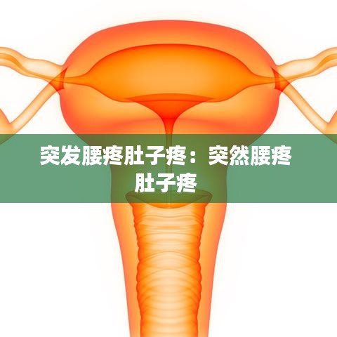 突發(fā)腰疼肚子疼:突然腰疼 肚子疼