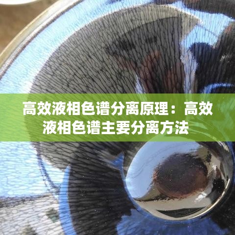 高效液相色譜分離原理:高效液相色譜主要分離方法