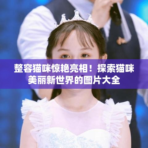 整容貓咪驚艷亮相！探索貓咪美麗新世界的圖片大全