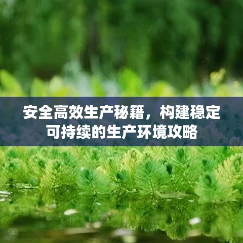 安全高效生產秘籍,構建穩定可持續的生產環境攻略