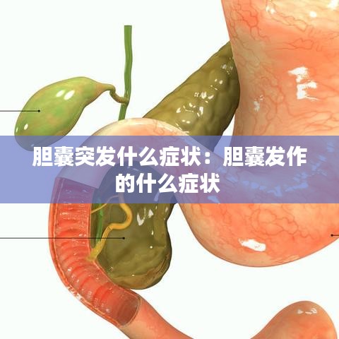 膽囊突發什么癥狀:膽囊發作的什么癥狀