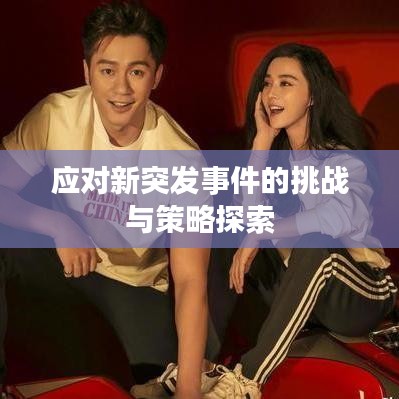 應對新突發事件的挑戰與策略探索