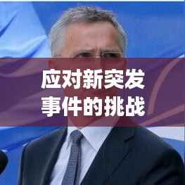 應對新突發事件的挑戰與策略探索