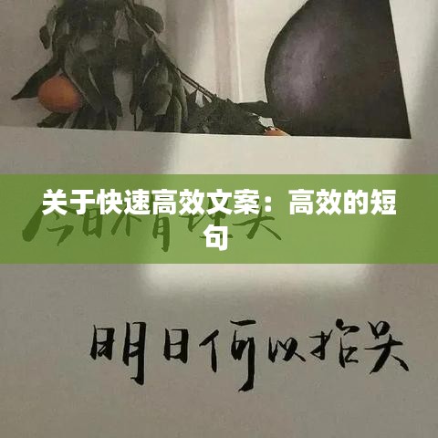 關(guān)于快速高效文案:高效的短句