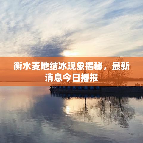 衡水麥地結冰現象揭秘,最新消息今日播報
