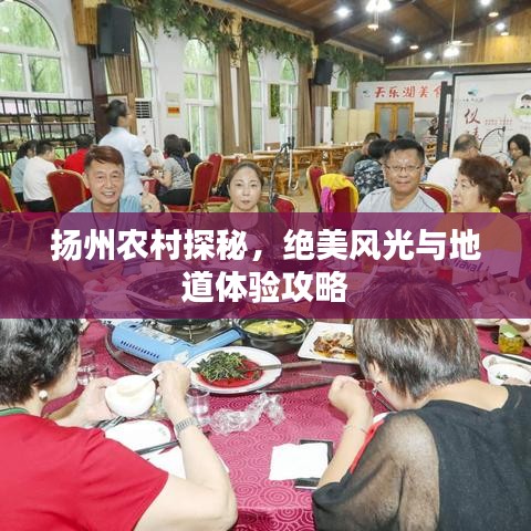 揚(yáng)州農(nóng)村探秘，絕美風(fēng)光與地道體驗(yàn)攻略
