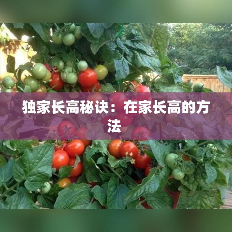 獨家長高秘訣：在家長高的方法 