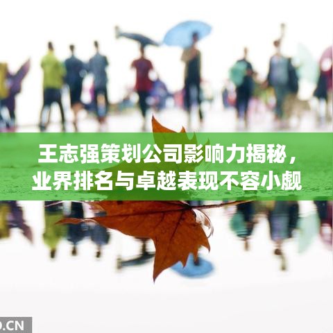 王志強策劃公司影響力揭秘,業界排名與卓越表現不容小覷