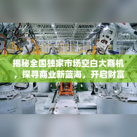 揭秘全國獨家市場空白大商機,探尋商業新藍海,開啟財富大門!