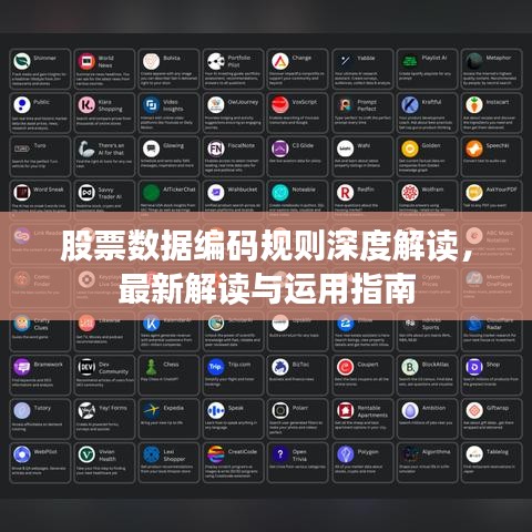股票數(shù)據(jù)編碼規(guī)則深度解讀,最新解讀與運用指南