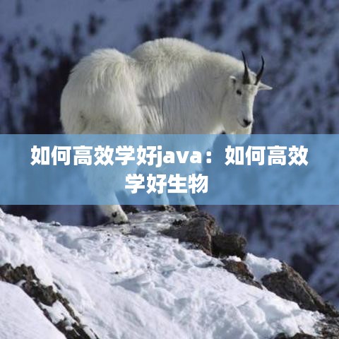 如何高效學好java:如何高效學好生物