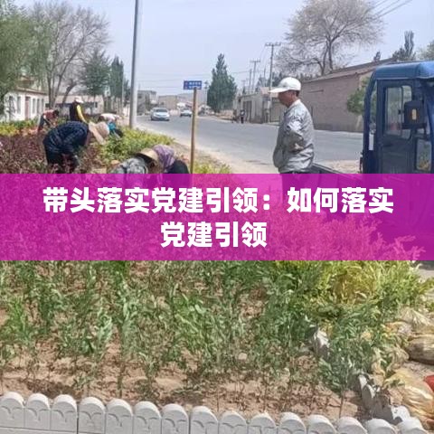 帶頭落實黨建引領:如何落實黨建引領