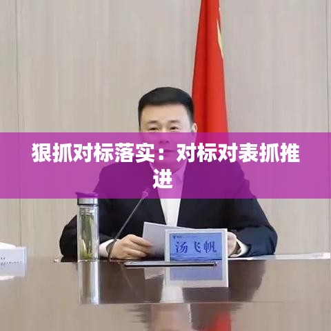 狠抓對標(biāo)落實：對標(biāo)對表抓推進 