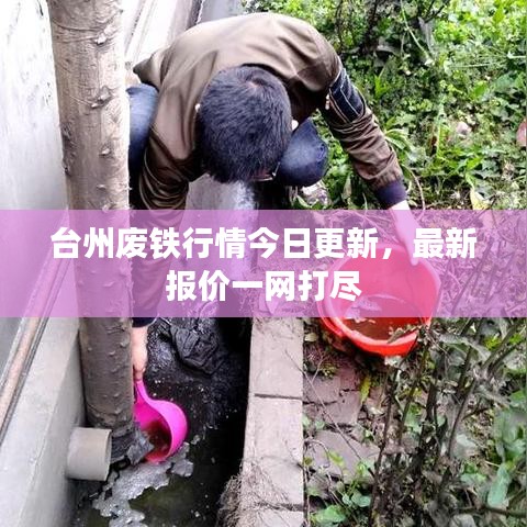 臺(tái)州廢鐵行情今日更新,最新報(bào)價(jià)一網(wǎng)打盡