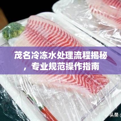 茂名冷凍水處理流程揭秘,專業(yè)規(guī)范操作指南