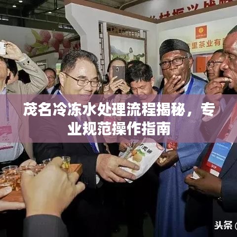 茂名冷凍水處理流程揭秘,專業(yè)規(guī)范操作指南