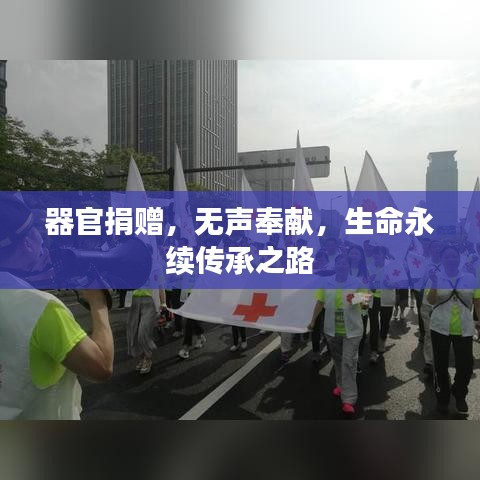 器官捐贈，無聲奉獻，生命永續傳承之路